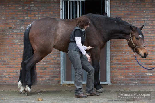 Paardenosteopathie